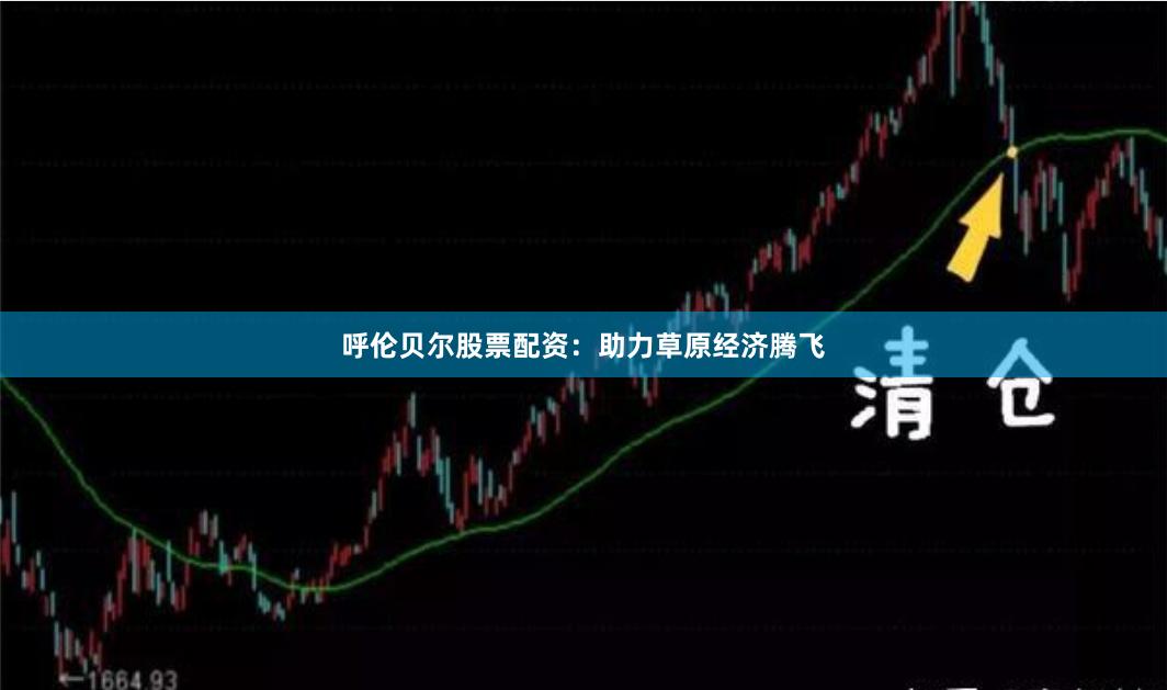 呼伦贝尔股票配资：助力草原经济腾飞