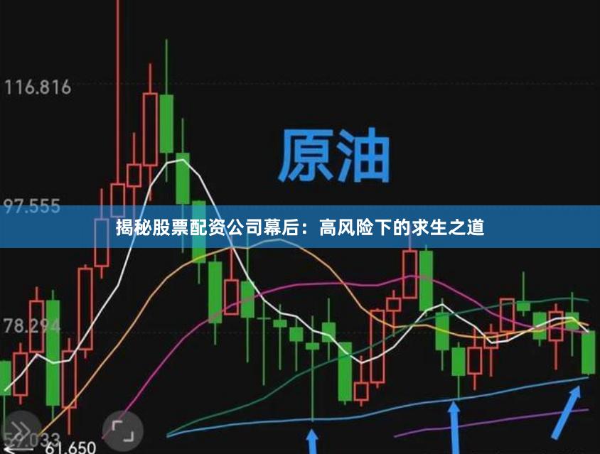 揭秘股票配资公司幕后：高风险下的求生之道