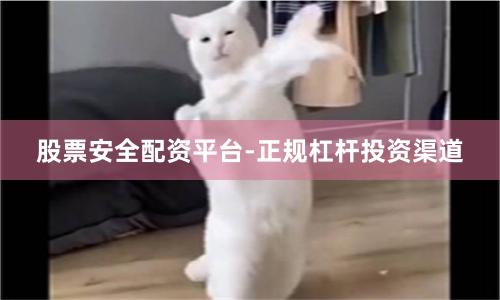 股票安全配资平台-正规杠杆投资渠道