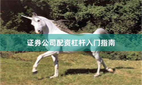 证券公司配资杠杆入门指南